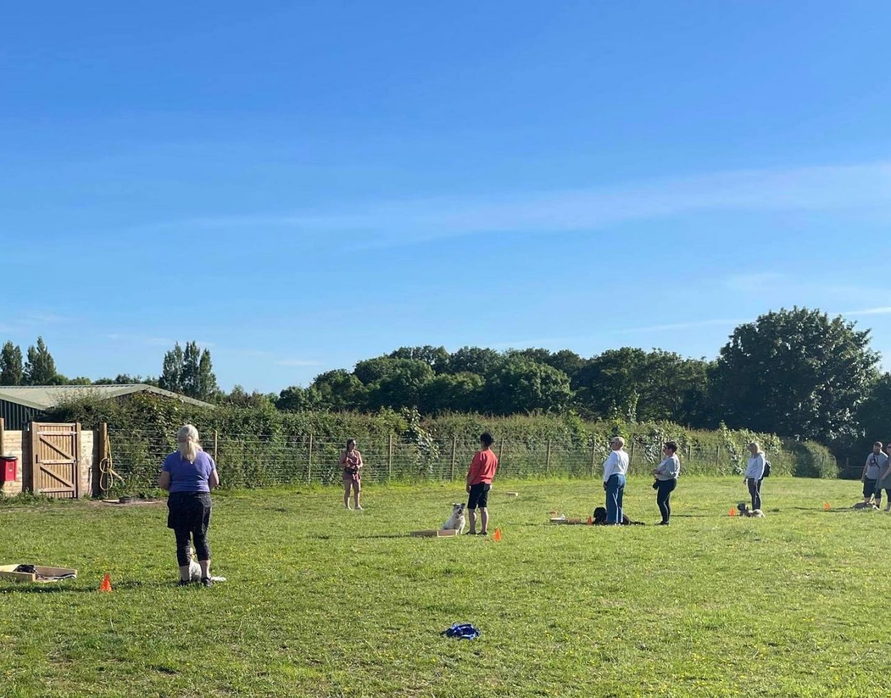 Mannered Mutts Dog Training Wirral