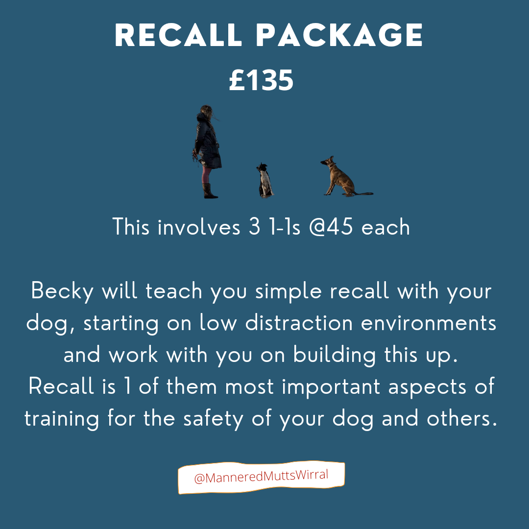 Dog training Wirral - Mannered Mutts Dog training Wirral